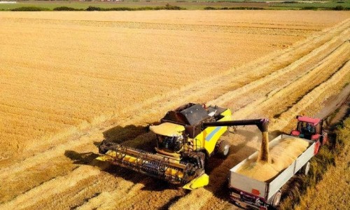 加拿大媒體報(bào)道美中貿(mào)易緊張局勢(shì)令美國(guó)農(nóng)業(yè)界擔(dān)憂（環(huán)球時(shí)報(bào)）